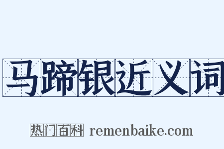 马蹄银近义词是什么意思的图片